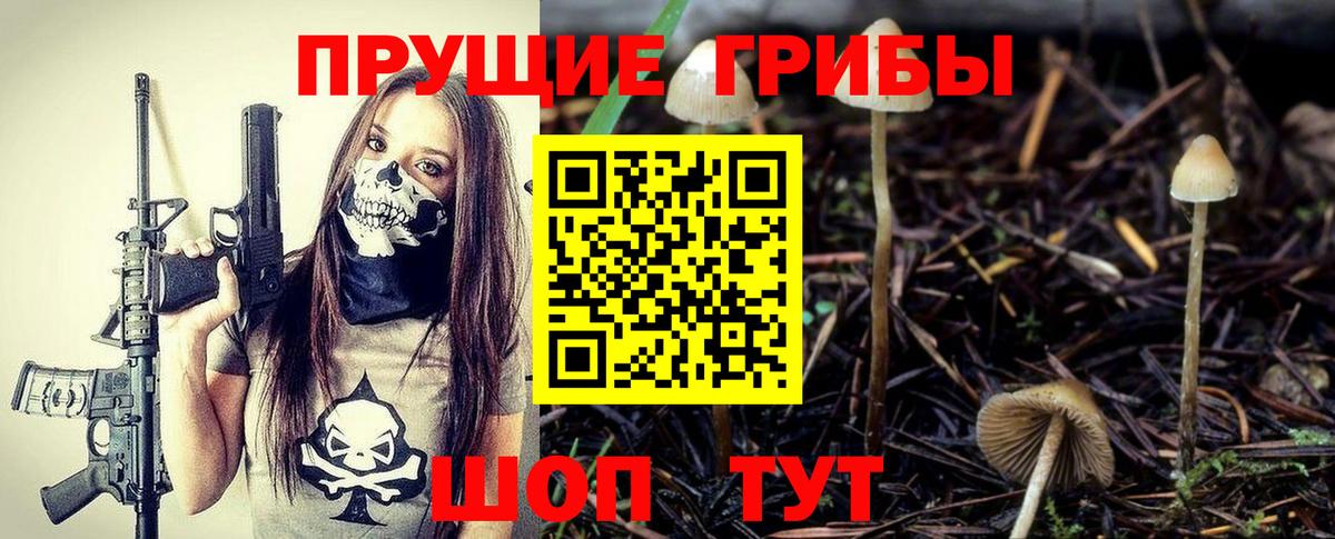 Городец  Псилоцибиновые грибы мицелий  Галлюциногенные грибы Psilocybine cubensis  Вход с VPN 